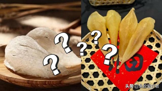 吃鱼胶好还是燕窝好 吃鱼胶好还是燕窝好呢