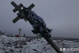 树倒猢狲散图片
