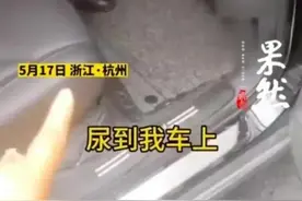 奇葩｜父女俩赖网约车上34小时，警察来了都不下车，还尿在车里图片