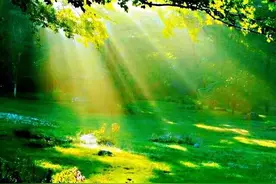 孟子说君子有三乐，你知道哪三乐么？——读孟子·尽心上·第20章图片