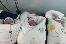 26岁孕妈生下“异卵三胞胎”，小女儿体重最争气，医生：第一次见图片