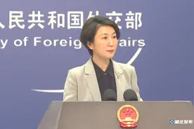 非盟加入G20，中国：第一个明确支持！图片
