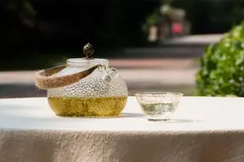 什么茶具适合泡什么茶，6类泡茶器，1点小建议图片