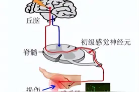 疼痛科都是打封闭？这种治疗手段安全又有效图片
