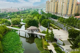 有一种自豪叫青岛20℃！图片