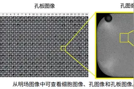 全视野细胞扫描分析仪-Celigo-Nexcelom-耐细隆图片