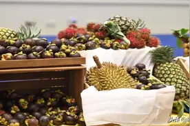 泰国榴莲出口前景光明 澳大利亚进口增长181.59%图片