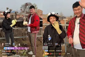 鸵鸟养殖也能小本赚钱？快手财经、三农达人联动直播讲解“致富知识”图片