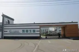 生物制造引领时代发展，凯赛生物：打造生物基聚酰胺生产平台图片