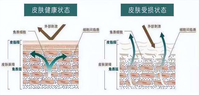 过敏肌肤能不能涂身体乳