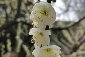 悲惨的人生图片