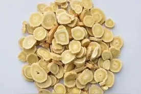 黄芪的成分及主要用途图片