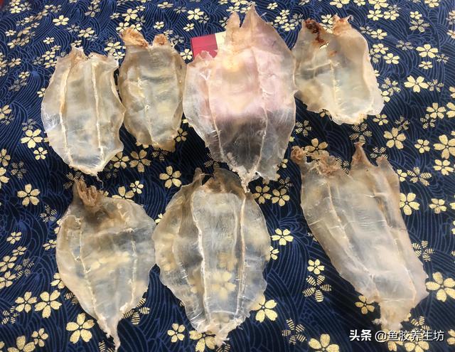 大口公鱼胶是什么鱼 大口鱼胶公胶和母胶哪个好 大口公鱼胶是什么鱼 大口鱼胶公胶和母胶哪个好