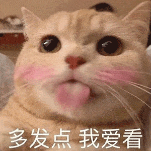 什么牌子宠物狗粮最好_牧林森宠物网