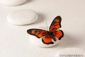 中国最近为什么要增持美债？美债是否有违约的风险？图片