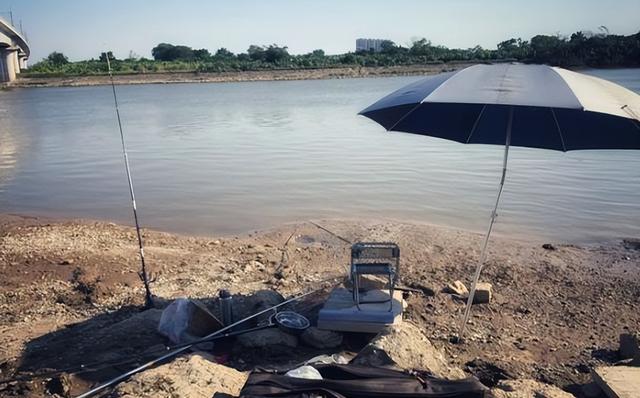 夏季钓鱼难,用这4个"绝杀招数"直接破解,鲫鲤草手到擒来(夏天如何钓鱼