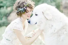 身高近1米！这些大型犬都是天花板级的存在（上）图片