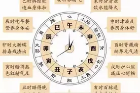 推荐看看胡希恕的六经八纲辩证图片
