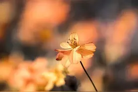 对妻子不好的男人，往往会有这些报应，逃不掉的图片