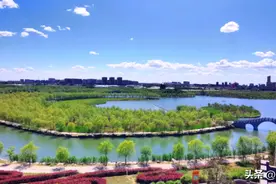 盛夏来嫩江湾，赴一场美丽的约会图片