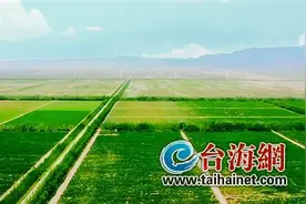 福建商人经营十万亩葡萄园，守护贺兰山麓戈壁滩，台湾记者点赞图片