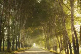 不和蠢货论长短图片
