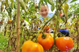 【中老铁路老挝段站点故事】磨丁列检所：自己动手“瓜果飘香”图片