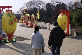 牙齿痛根管治疗还是拨了好，一颗牙花了三千块，医生说再痛还要拨图片