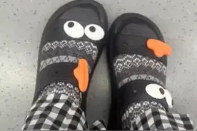 长期穿洞洞鞋或让腿变弯 网友：下次早点说，夏天都快结束了图片