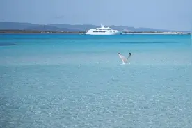 西班牙蓝旗海滩继续蝉联全球第一图片