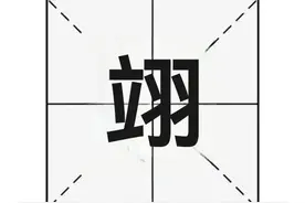 “翊”字不读yǔ ，也不读lì，那它正确读音是?图片
