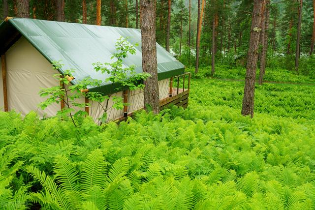 河北露营地合集之「保定露营地名单大全」，建议收藏