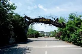 养老公寓诈骗案调查：2万老人受害金额超17亿，把百捆钞票堆在桌上骗取信任，失明老人失去毕生积蓄图片