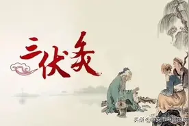 泰安市中医医院：顺应天时冬病夏治，辨证施灸一气周流图片