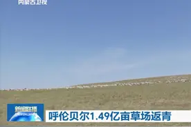 呼伦贝尔1.49亿亩草场全部返青图片