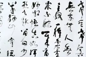 走进大草：云烟妙相化虚灵——林散之大草《论书一首》学习笔记（五）图片