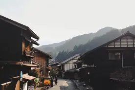 乡村振兴的新模式：16个国内外乡村振兴模式案例汇集图片