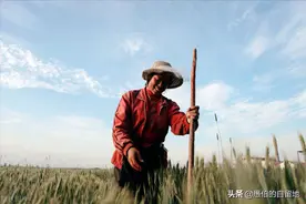 纪实：16年前母亲和同村男人私奔，让我羞于见人，如今选择了原谅图片