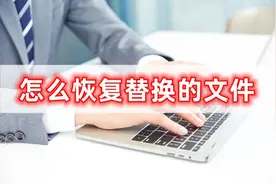 怎么恢复替换的文件,小编教你轻松恢复图片