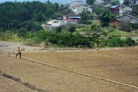 2023年，农村将统一回收土地？这是真的吗？没有土地的农民咋办？图片