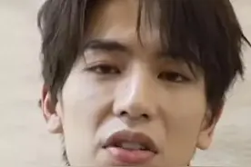 张凌赫无美颜无滤镜生图，帅哥脸上东西有点多图片