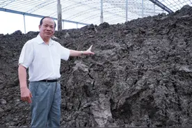 2018年，广西男子养了5000多头牛却不卖，靠牛粪年入上亿元图片