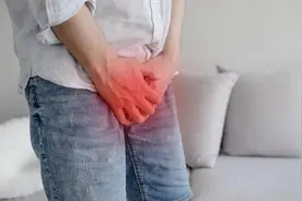 前列腺的养与忌图片