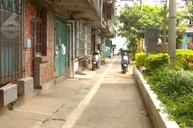 第二次了！天降花盆，一楼住户心慌慌图片