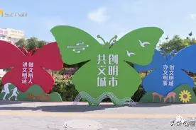 朔州市平鲁区：街道配电箱披上彩绘“新衣”图片