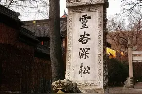 紫金山上，有点神秘的名人墓图片