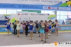 花样滑冰比赛精彩纷呈 上百名选手演绎“冰上芭蕾”图片