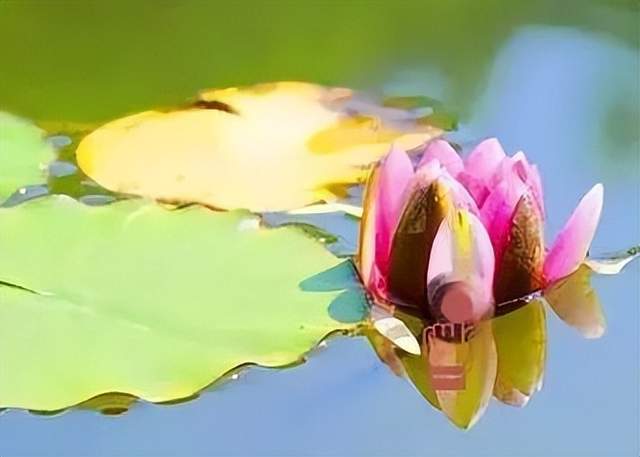 四川省民生研究会新媒体中心-官网