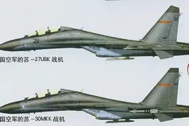 在国内和国外空战对抗中屡战屡败，中国苏-27/歼11战斗机小史图片