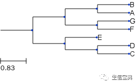 ETE构建、绘制进化树